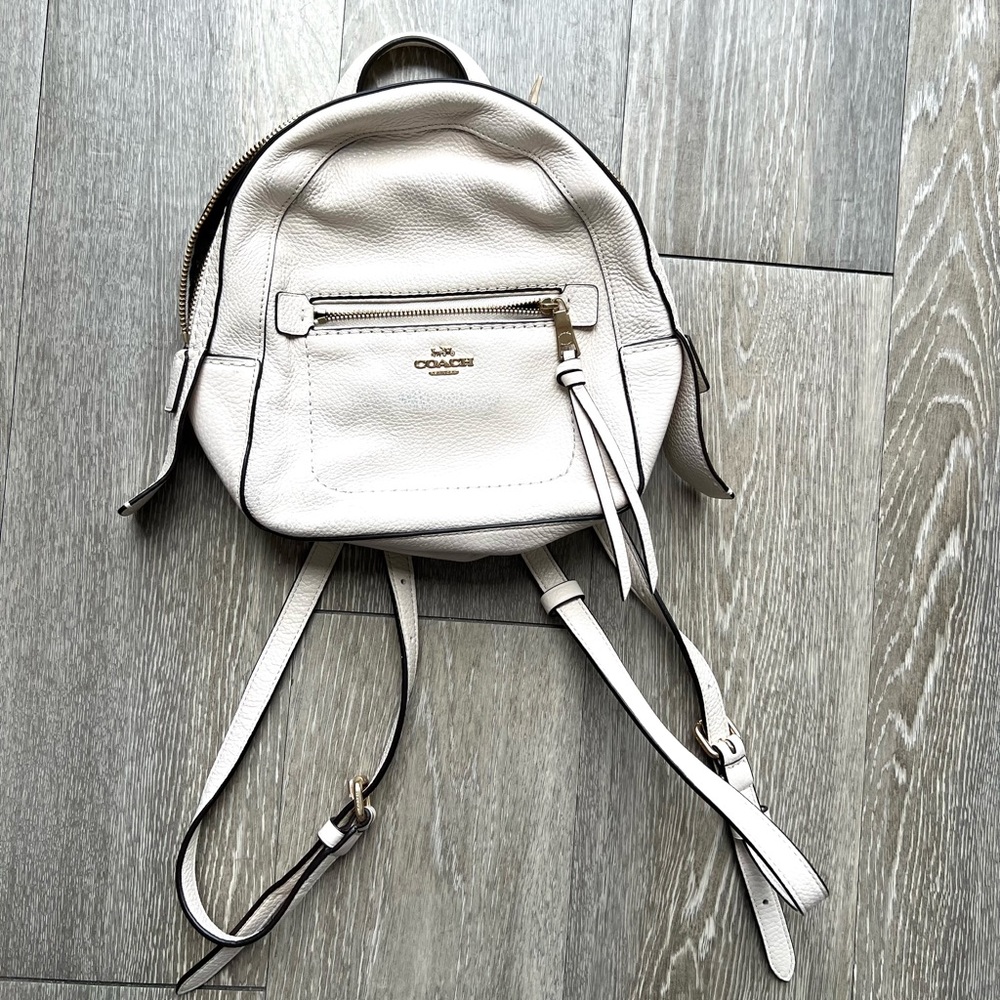 Coach Pebble Leather Amsi Backpack purse